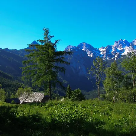 Hostal Pevc & Ob Savinji Ljubno