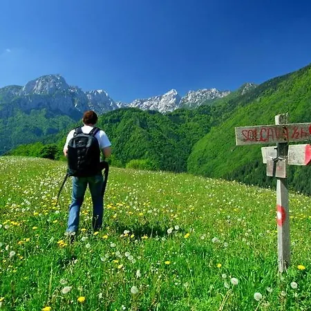 Auberge de jeunesse Pevc & Ob Savinji Ljubno