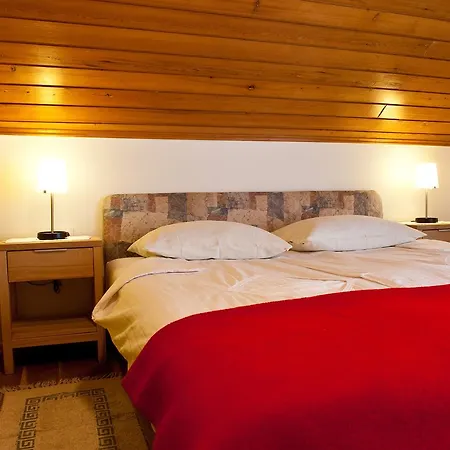 Pevc & Ob Savinji Hostel Ljubno