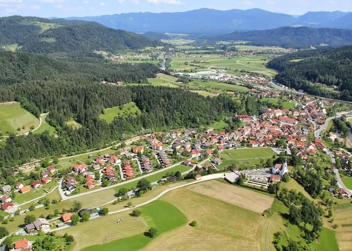 بيت شباب Pevc & Ob Savinji *