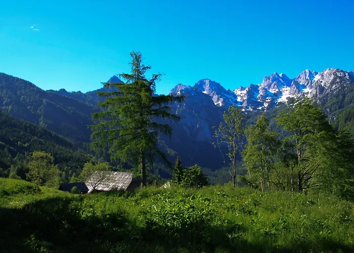 호스텔 Pevc & Ob Savinji Ljubno